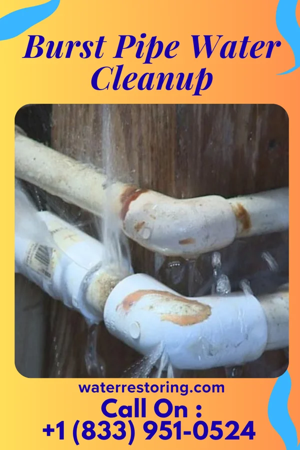 Burst Pipe Water Cleanup in Groveport, OH