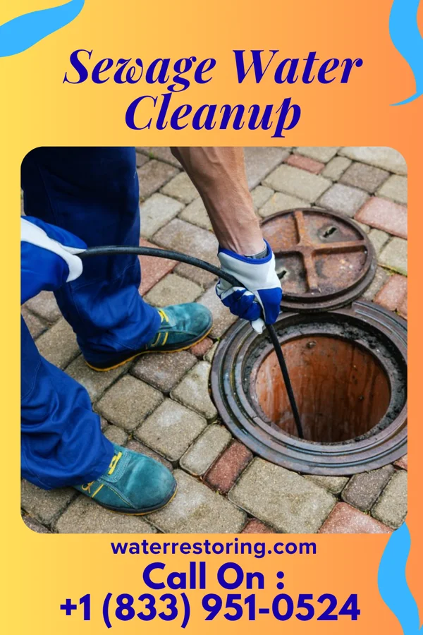 Sewage Water Cleanup in Groveport, OH